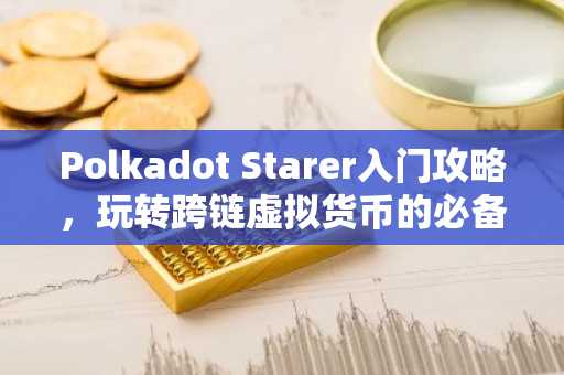 Polkadot Starer入门攻略，玩转跨链虚拟货币的必备指南