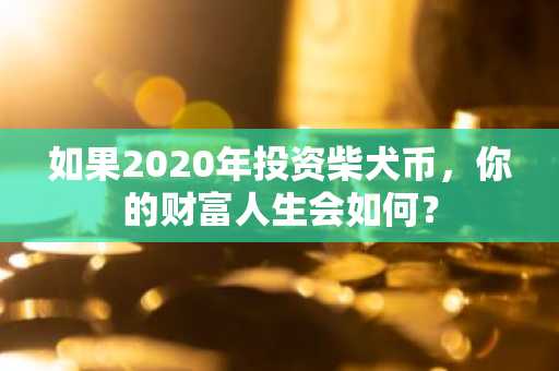 如果2020年投资柴犬币，你的财富人生会如何？