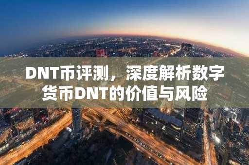 DNT币评测，深度解析数字货币DNT的价值与风险