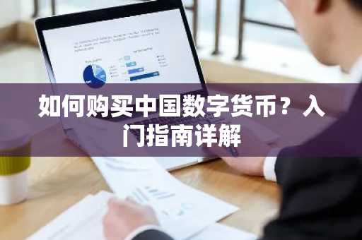 如何购买中国数字货币？入门指南详解