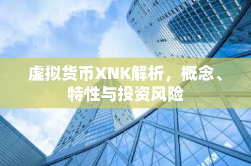 虚拟货币XNK解析，概念、特性与投资风险