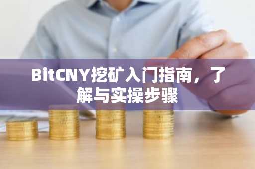 BitCNY挖矿入门指南，了解与实操步骤