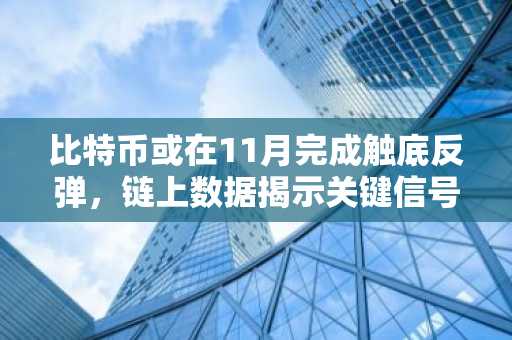 比特币或在11月完成触底反弹，链上数据揭示关键信号