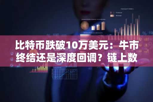 比特币跌破10万美元：牛市终结还是深度回调？链上数据与市场指标全解析