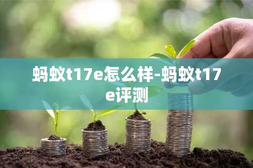 蚂蚁t17e怎么样-蚂蚁t17e评测