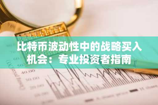 比特币波动性中的战略买入机会：专业投资者指南
