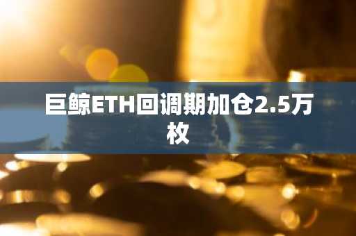 巨鲸ETH回调期加仓2.5万枚