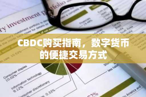 CBDC购买指南，数字货币的便捷交易方式