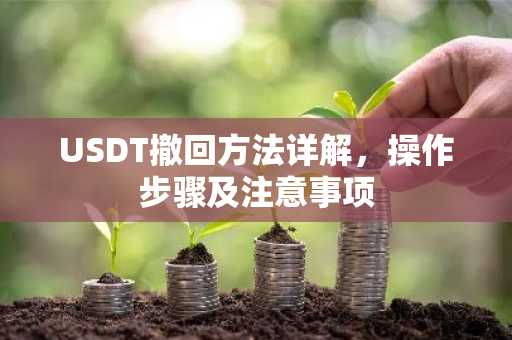 USDT撤回方法详解，操作步骤及注意事项