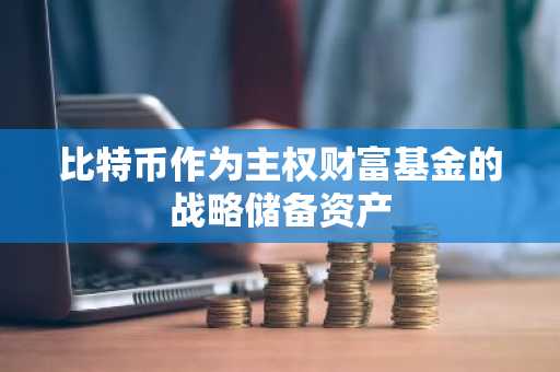 比特币作为主权财富基金的战略储备资产