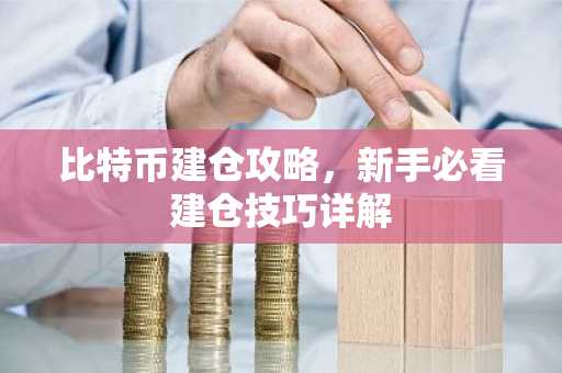 比特币建仓攻略，新手必看建仓技巧详解