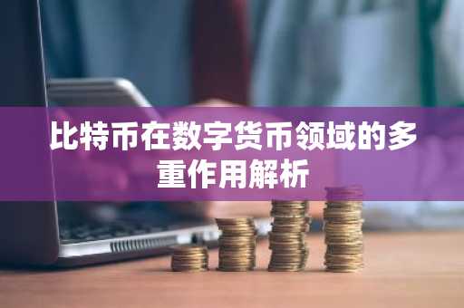 比特币在数字货币领域的多重作用解析