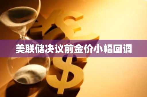 美联储决议前金价小幅回调