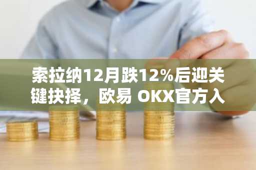 索拉纳12月跌12%后迎关键抉择，欧易 OKX官方入口助你把握一月反弹机会