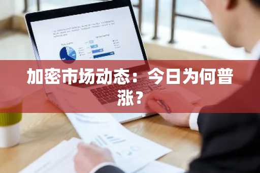 加密市场动态:今日为何普涨?