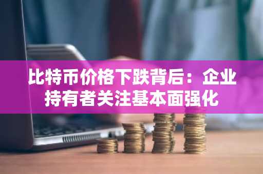 比特币价格下跌背后：企业持有者关注基本面强化