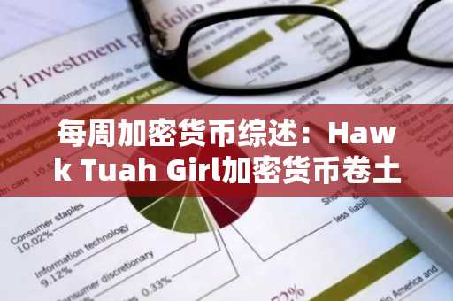 每周加密货币综述：Hawk Tuah Girl加密货币卷土重来？