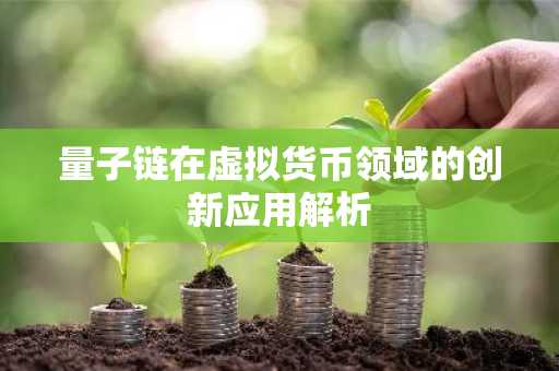 量子链在虚拟货币领域的创新应用解析