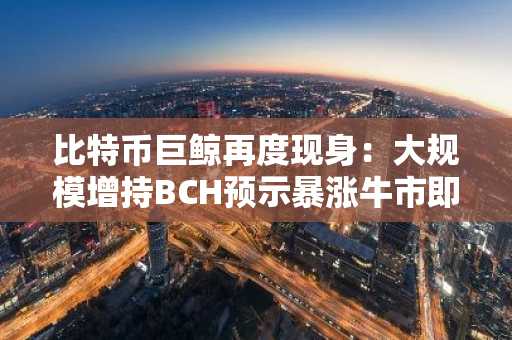 比特币巨鲸再度现身：大规模增持BCH预示暴涨牛市即将启动