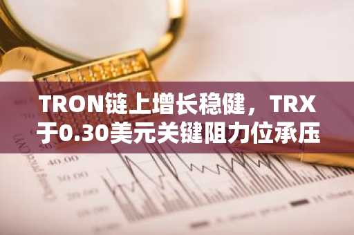 TRON链上增长稳健，TRX于0.30美元关键阻力位承压