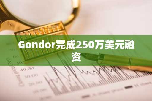 Gondor完成250万美元融资