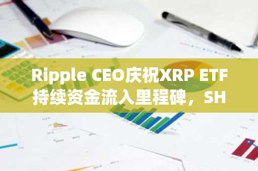 Ripple CEO庆祝XRP ETF持续资金流入里程碑,SHIB链上背离引发关注,Cardano多头遭遇1303%清算冲击