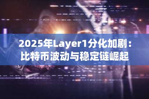 2025年Layer1分化加剧：比特币波动与稳定链崛起