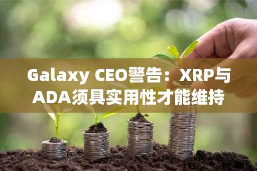 Galaxy CEO警告:XRP与ADA须具实用性才能维持相关性