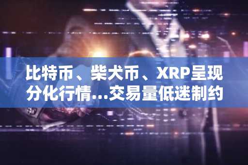 比特币、柴犬币、XRP呈现分化行情…交易量低迷制约技术性反弹