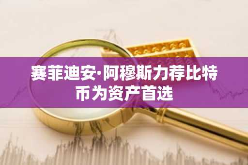 赛菲迪安·阿穆斯力荐比特币为资产首选