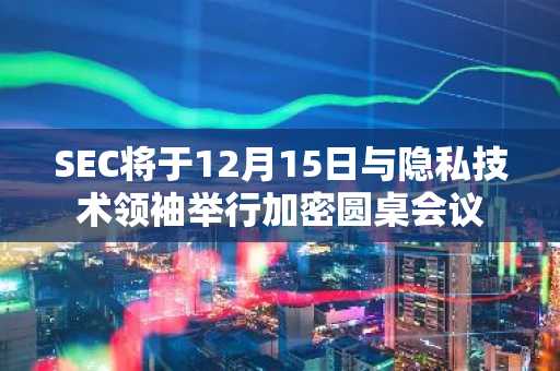 SEC将于12月15日与隐私技术领袖举行加密圆桌会议