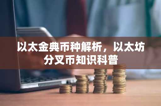 以太金典币种解析，以太坊分叉币知识科普