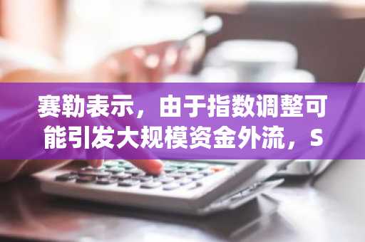 赛勒表示，由于指数调整可能引发大规模资金外流，Strategy公司已与MSCI展开合作。