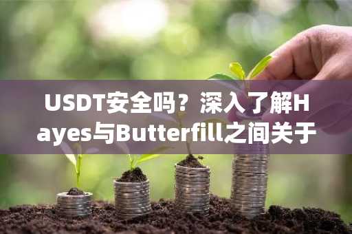 USDT安全吗？深入了解Hayes与Butterfill之间关于Tether偿付能力的争论
