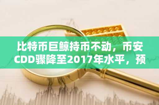 比特币巨鲸持币不动，币安CDD骤降至2017年水平，预示历史性囤积潮