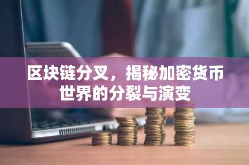 区块链分叉，揭秘加密货币世界的分裂与演变