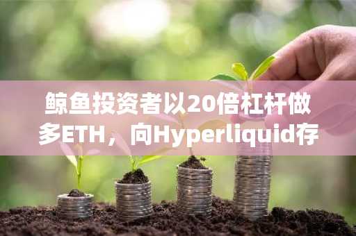 鲸鱼投资者以20倍杠杆做多ETH，向Hyperliquid存入459万USDC