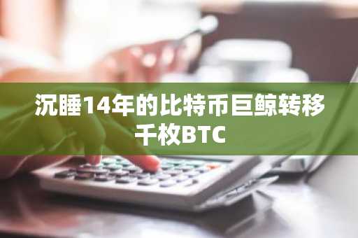 沉睡14年的比特币巨鲸转移千枚BTC