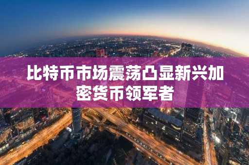 比特币市场震荡凸显新兴加密货币领军者