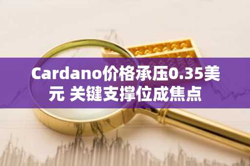 Cardano价格承压0.35美元 关键支撑位成焦点