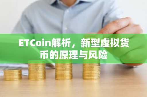 ETCoin解析,新型虚拟货币的原理与风险