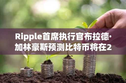 Ripple首席执行官布拉德·加林豪斯预测比特币将在2026年达到18万美元。
