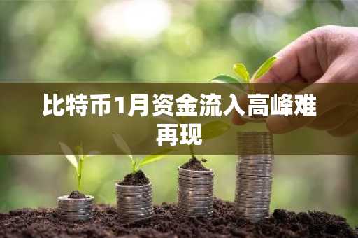 比特币1月资金流入高峰难再现