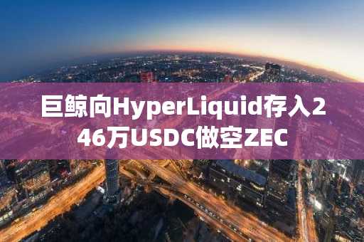 巨鲸向HyperLiquid存入246万USDC做空ZEC