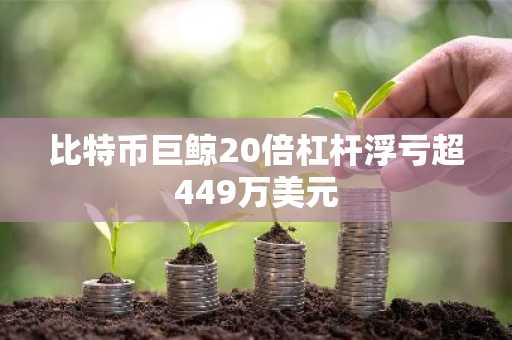 比特币巨鲸20倍杠杆浮亏超449万美元