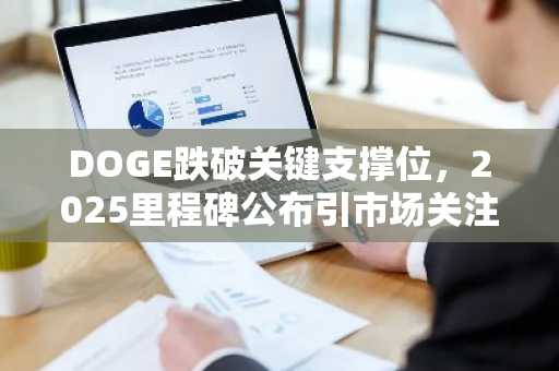 DOGE跌破关键支撑位，2025里程碑公布引市场关注