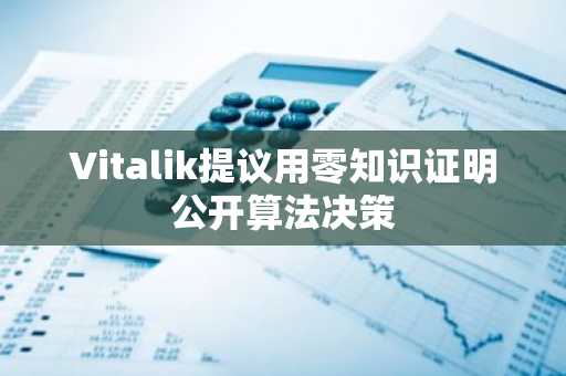 Vitalik提议用零知识证明公开算法决策
