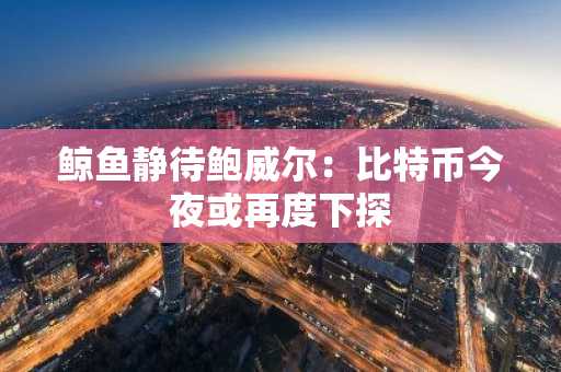 鲸鱼静待鲍威尔：比特币今夜或再度下探