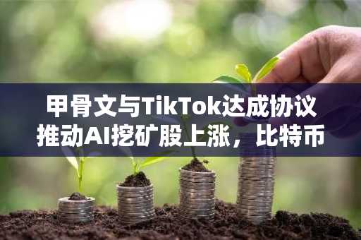 甲骨文与TikTok达成协议推动AI挖矿股上涨，比特币突破88000美元大关