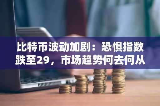 比特币波动加剧:恐惧指数跌至29,市场趋势何去何从?